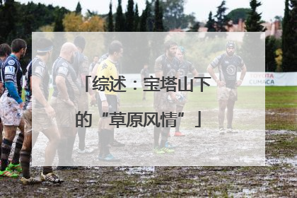 综述：宝塔山下的“草原风情”