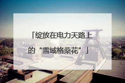 绽放在电力天路上的“雪域格桑花”