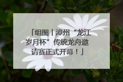 组图丨漳州“龙江岁月杯”传统龙舟邀请赛正式开幕！