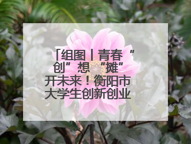 组图丨青春“创”想 “摊”开未来！衡阳市大学生创新创业集市火热开市