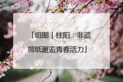 组图｜桂阳：非遗剪纸邂逅青春活力