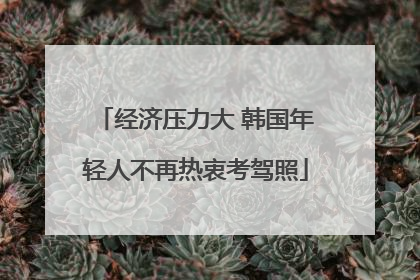经济压力大 韩国年轻人不再热衷考驾照