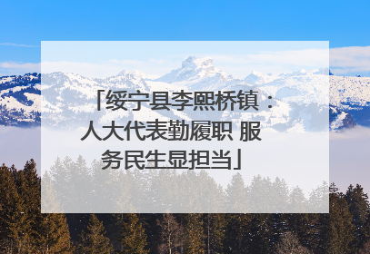 绥宁县李熙桥镇：人大代表勤履职 服务民生显担当