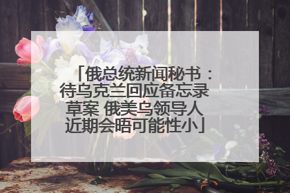 俄总统新闻秘书：待乌克兰回应备忘录草案 俄美乌领导人近期会晤可能性小