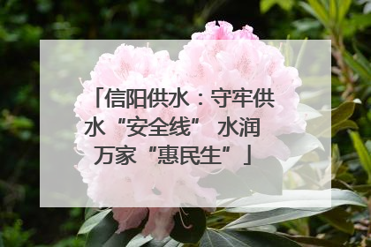 信阳供水：守牢供水“安全线” 水润万家“惠民生”
