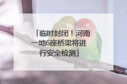 临时封闭！河南一地6座桥梁将进行安全检测