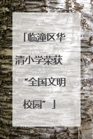 临潼区华清小学荣获“全国文明校园”