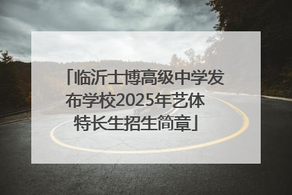 临沂士博高级中学发布学校2025年艺体特长生招生简章