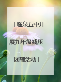 临泉五中开展九年级减压团辅活动