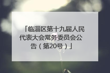 临淄区第十九届人民代表大会常务委员会公告（第20号）