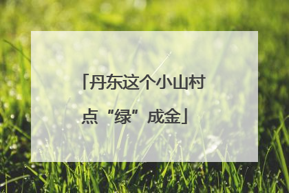 丹东这个小山村点“绿”成金
