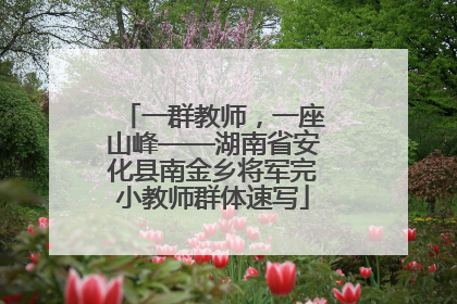 一群教师，一座山峰——湖南省安化县南金乡将军完小教师群体速写
