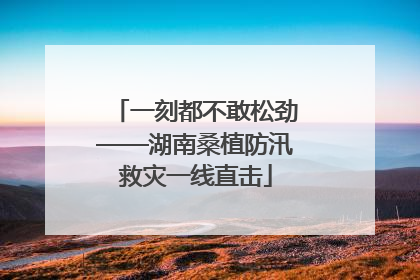 一刻都不敢松劲——湖南桑植防汛救灾一线直击