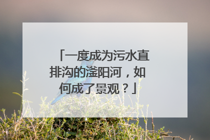 一度成为污水直排沟的滏阳河，如何成了景观？