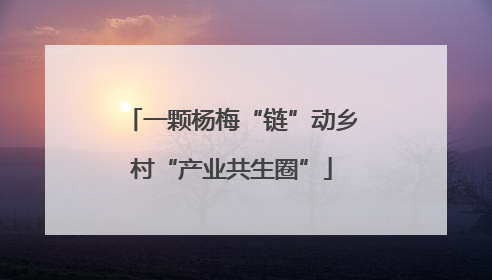 一颗杨梅“链”动乡村“产业共生圈”