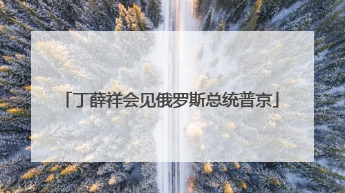 丁薛祥会见俄罗斯总统普京
