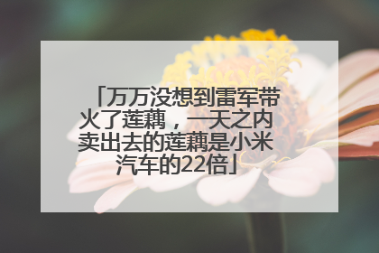 万万没想到雷军带火了莲藕，一天之内卖出去的莲藕是小米汽车的22倍