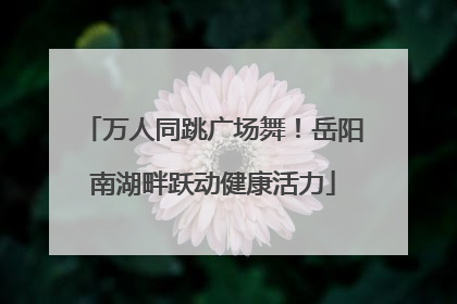 万人同跳广场舞！岳阳南湖畔跃动健康活力