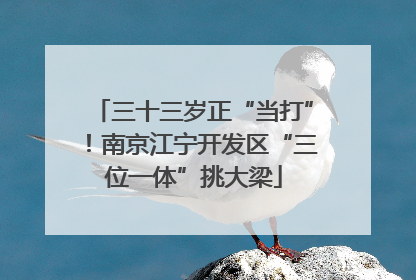 三十三岁正“当打”！南京江宁开发区“三位一体”挑大梁