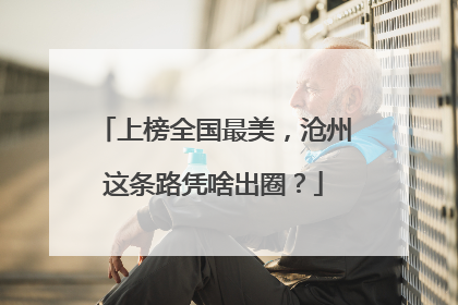 上榜全国最美，沧州这条路凭啥出圈？
