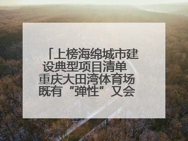 上榜海绵城市建设典型项目清单 重庆大田湾体育场既有“弹性”又会“呼吸”
