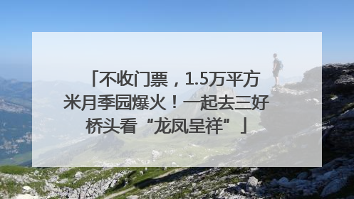 不收门票，1.5万平方米月季园爆火！一起去三好桥头看“龙凤呈祥”