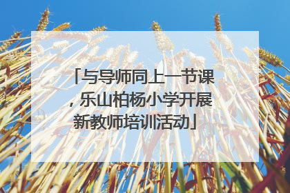 与导师同上一节课，乐山柏杨小学开展新教师培训活动