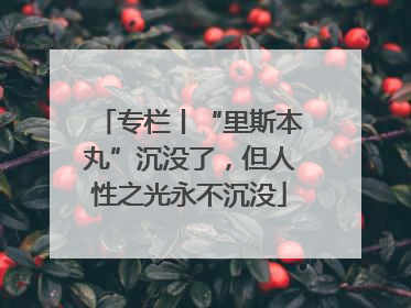 专栏丨“里斯本丸”沉没了，但人性之光永不沉没