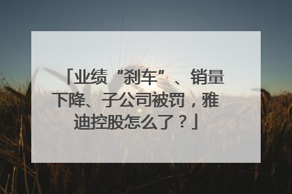 业绩“刹车”、销量下降、子公司被罚，雅迪控股怎么了？