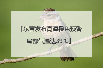 东营发布高温橙色预警 局部气温达39℃