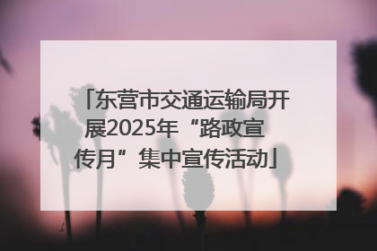 东营市交通运输局开展2025年“路政宣传月”集中宣传活动
