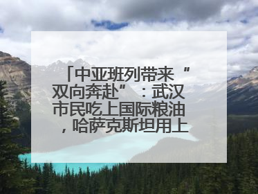 中亚班列带来“双向奔赴”：武汉市民吃上国际粮油，哈萨克斯坦用上鄂产光电屏