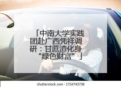 中南大学实践团赴广西凭祥调研：甘蔗渣化身“绿色财富”