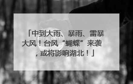 中到大雨、暴雨、雷暴大风！台风“蝴蝶”来袭，或将影响湖北！
