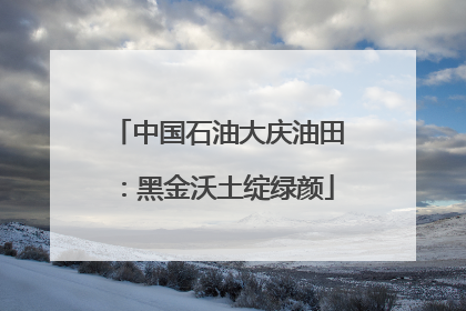 中国石油大庆油田：黑金沃土绽绿颜