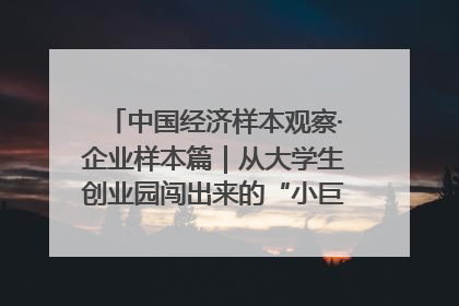 中国经济样本观察·企业样本篇｜从大学生创业园闯出来的“小巨人”——卡诺普机器人的逐梦历程
