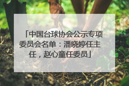中国台球协会公示专项委员会名单：潘晓婷任主任，赵心童任委员