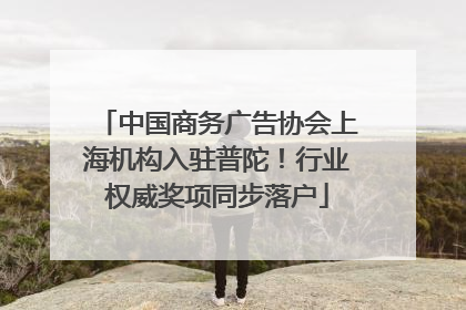 中国商务广告协会上海机构入驻普陀！行业权威奖项同步落户