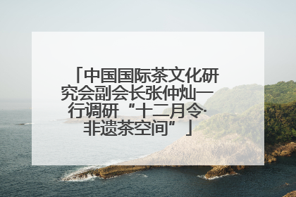 中国国际茶文化研究会副会长张仲灿一行调研“十二月令·非遗茶空间”