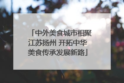 中外美食城市相聚江苏扬州 开拓中华美食传承发展新路