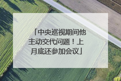中央巡视期间他主动交代问题！上月底还参加会议