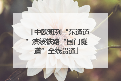 中欧班列“东通道”滨绥铁路“国门隧道”全线贯通