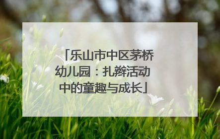 乐山市中区茅桥幼儿园：扎辫活动中的童趣与成长