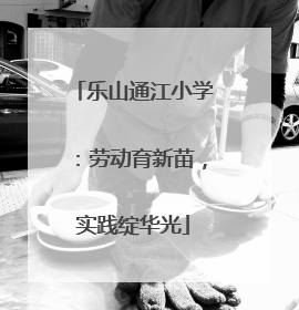 乐山通江小学：劳动育新苗，实践绽华光