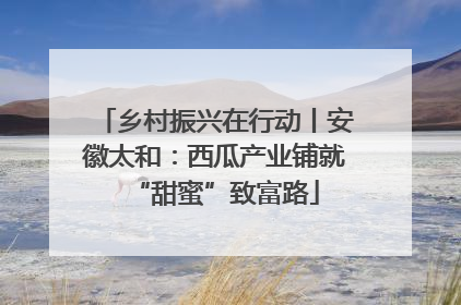 乡村振兴在行动丨安徽太和：西瓜产业铺就“甜蜜”致富路