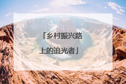 乡村振兴路上的追光者
