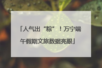 人气出“粽”！万宁端午假期文旅数据亮眼