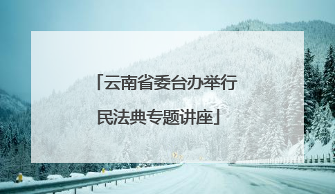 云南省委台办举行民法典专题讲座
