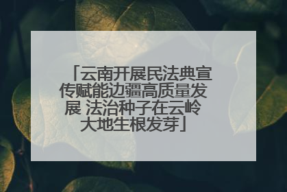 云南开展民法典宣传赋能边疆高质量发展 法治种子在云岭大地生根发芽