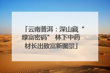 云南普洱：深山藏“绿富密码” 林下中药材长出致富新图景